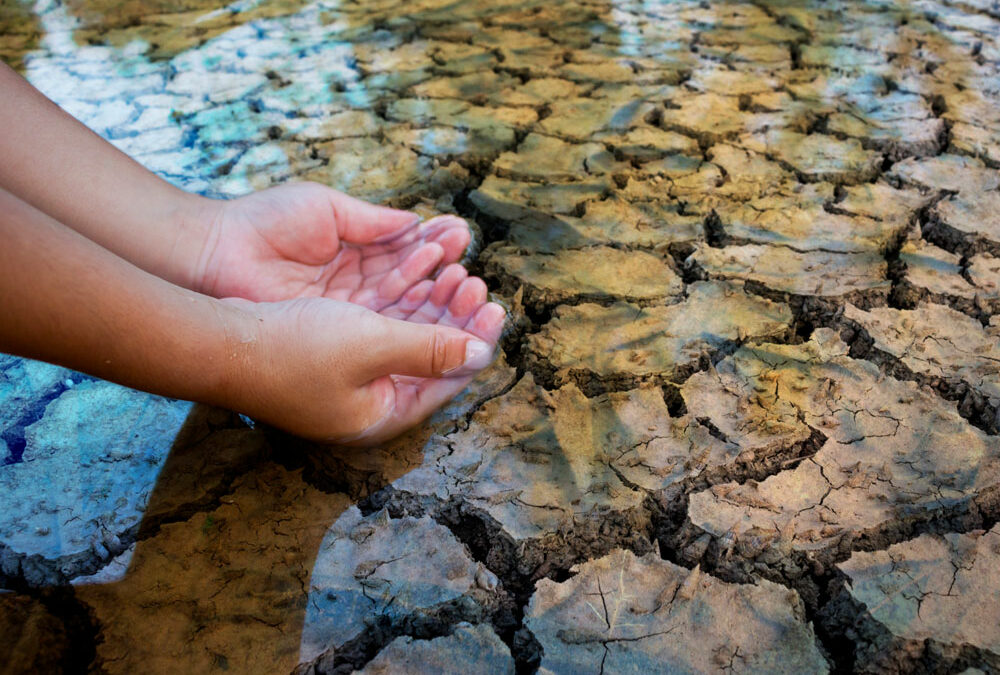 Crisi climatica e siccità: cambiare si può