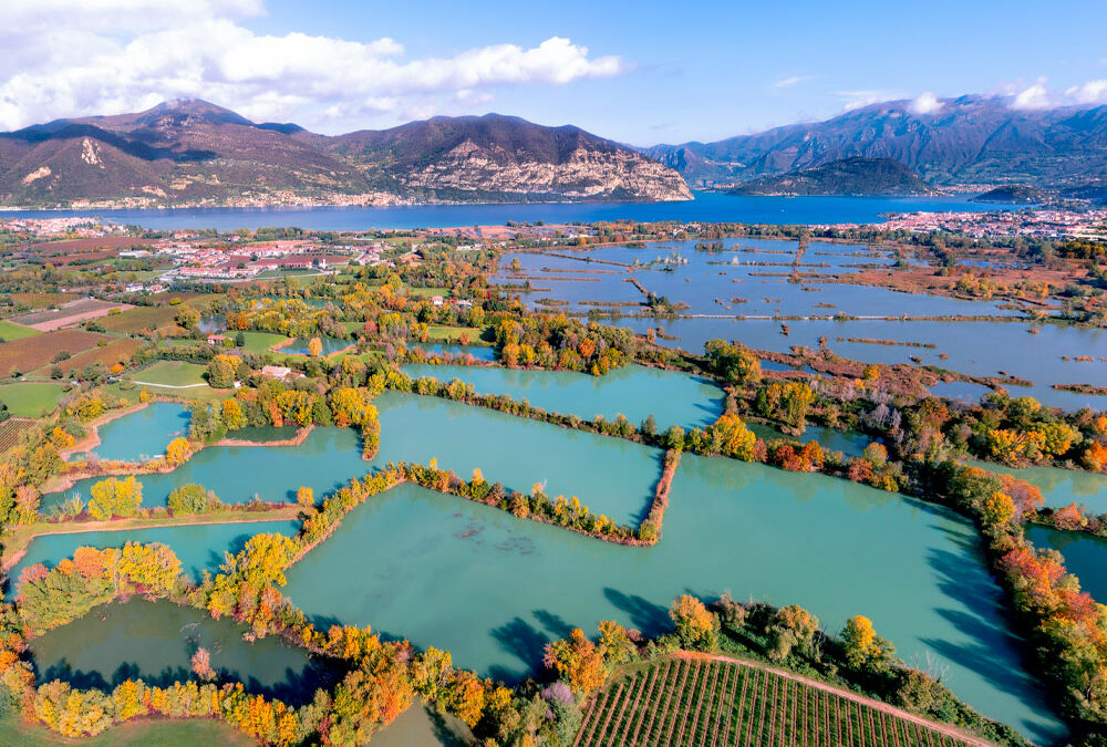 Come stanno le Torbiere del Sebino se non piove?