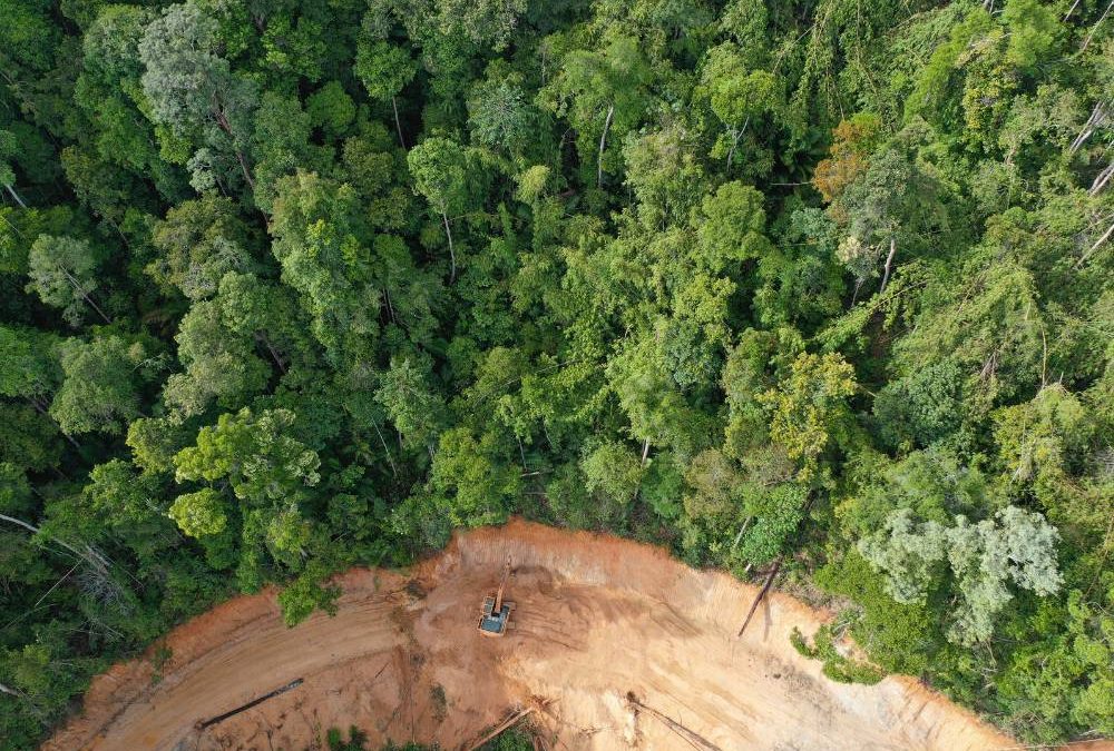 Popoli indigeni, custodi dell’Amazzonia contro la deforestazione